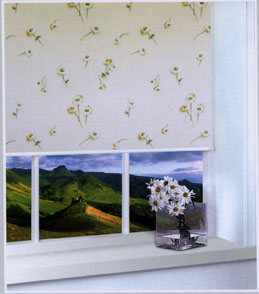 Camilla - ������ Rollite ��� ������������������ ����.