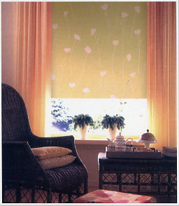 Carina - ������ Rollite ��� ������������������ ����.