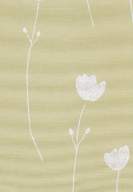 Carina 2 - ������ Rollite ��� ������������������ ����.