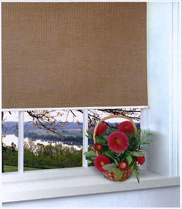 Fiji - ������ Rollite ��� ������������������ ����.