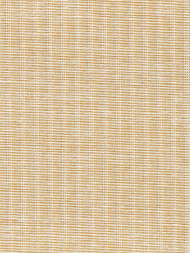 Fiji 103 - ������ Rollite ��� ������������������ ����.