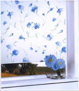 ������ Nelke. ��������� �������.