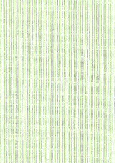 Shantung 63 - ������ Rollite ��� ������������������ ����.