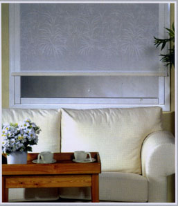 Siesta - ������ Rollite ��� ������������������ ����.