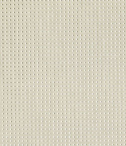 Starlet - ������ Rollite ��� ������������������ ����.