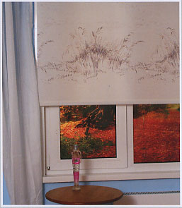 ������ Tunturi. ��������� �������.