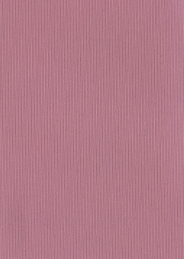 Uni Blackout 12.0 - ������ Rollite ��� ������������������ ����.